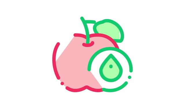 Apple Fruit Leaf Icon Animation. color Apple Fruit Leaf animated icon on white background