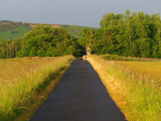 country road