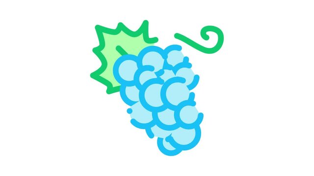 Grape Berries Icon Animation. color Grape Berries animated icon on white background
