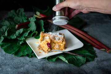 Fresh and homemade rhubarb cake with organic vegetables from the garden, served on a plate and sprinkled with powdered sugar. Dark and moody food photography