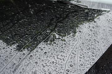 rain drops on car