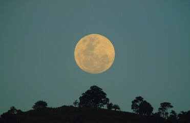 moon in the sky