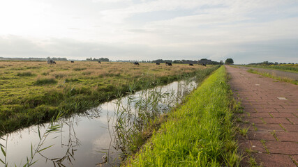 Landscape of Waverveen in the summer