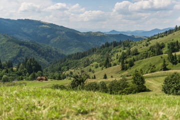 Fototapeta na wymiar Country rural landscape with meadow and haycocks