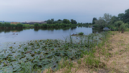 The Waver river on a summer evening.