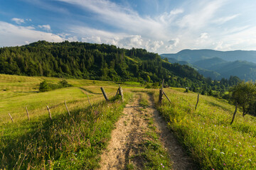 Country rural landscape with road and fence in Bukovina