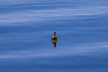 yellow kite on blue sky