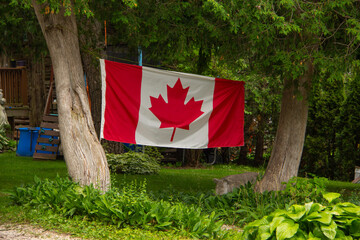 Canadian flag between two trees