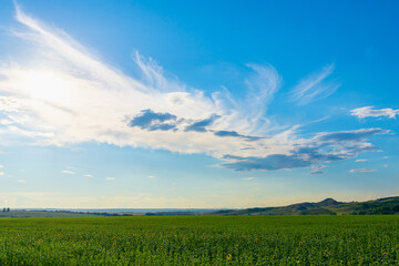 Over the green field, blue sky with clouds.
