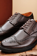 Brown leather men's shoes in classic style on a wooden cut. Close-up. High quality photo