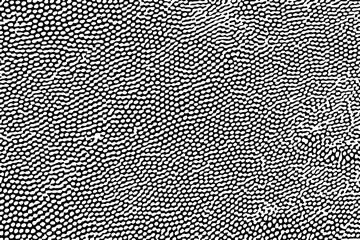 Grunge texture of a porous organic surface. Monochrome background of macro tubular spores of the fungus with chaotic spots, close-up. Overlay template. Vector illustration © Наталья Барсова