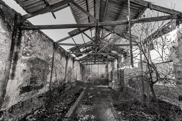 Abandoned train shed from a closed station in Gómez, Buenos Aires, Argentina
Train shed from a closed train station showing the past of time and wild vegetation with only part of th the roof

