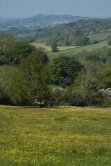 Fototapeta na wymiar cotswold landscape england uk, gb, outdoors travel