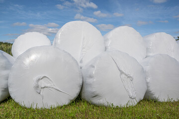 White plastic wrapped hay bales stacked on green grass