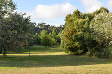 Parque da Cidade do Porto 1