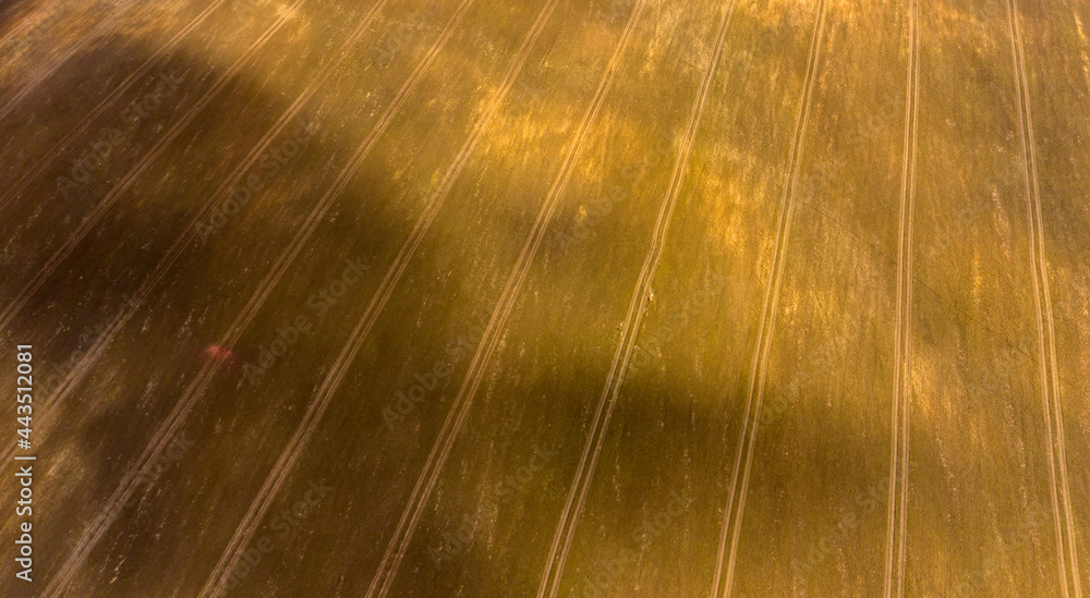 Poster Aerial view of agricultural landscape with fields in spring season.