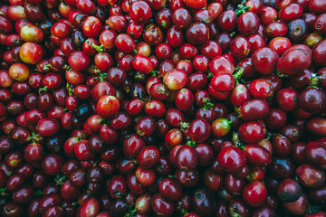 Coffee beans fermentation and washing, wet and dry coffee processing