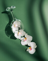 Spilled white flowers from the wine glass. Minimal aesthetic arrangement with shadows on the dark green background.