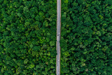 white truck drives on an asphalt road through a green forest. Drone top view. aerial view