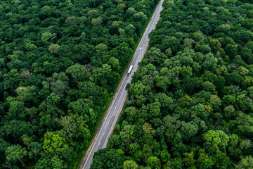 white cargo truck drives on an asphalt highway through a green forest. Drone top view. Gasoline tanker on a road. aerial view