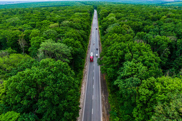 red cargo truck drives on an asphalt highway through a green forest. Drone top view