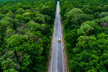 yellow bus drives on an asphalt highway through a green forest. Drone top view
