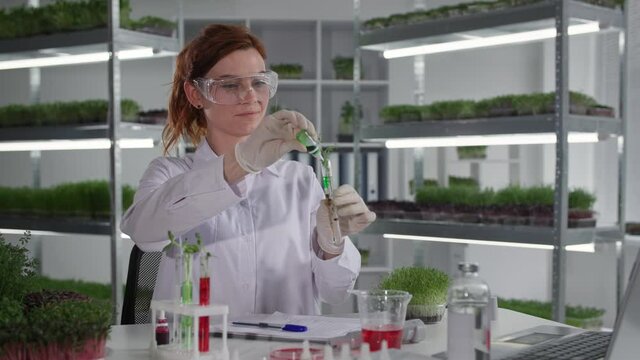 biological research laboratory, female laboratory assistant examines plant in test tube, drips reagent and writes observation in notebook