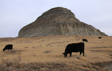 Badlands Saskatchewan Prairie