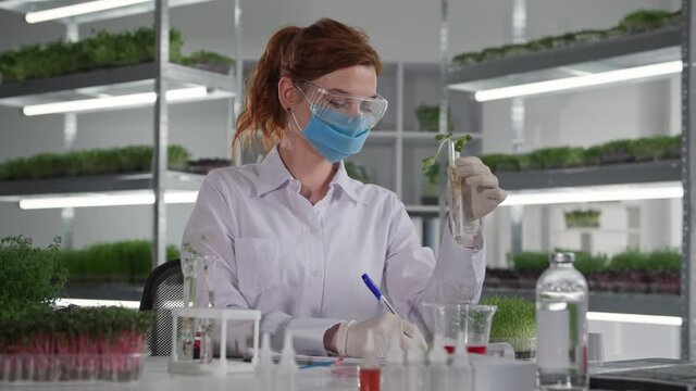 genetically modified laboratory, female scientist biologist in medical mask drips reagent into test tube with seedling sprouts to study reaction of micro green, smiling and looking at camera