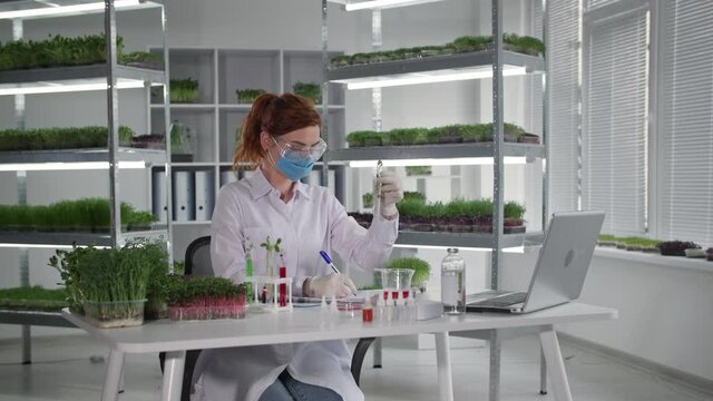 portrait of female scientist in medical mask dripping chemicals into test tubes with plants to study reaction of micro green root system and seedlings while sitting in laboratory