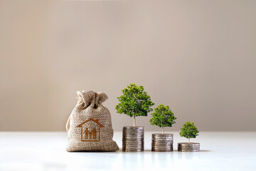 Trees grow on piles of money and bags for saving money to buy a house, financial ideas and economic conditions.