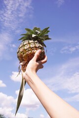 close up pineapple fruit on man hand