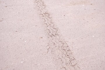 Bicycle tire tracks on a sandy beach