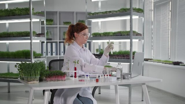 genetic engineering laboratory, female microbiologist conducts research with seedlings in test tubes and records observations in laptop while sitting in greenhouse, smiling and looking at camera