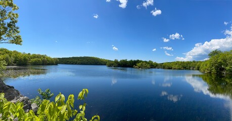 lake and forest