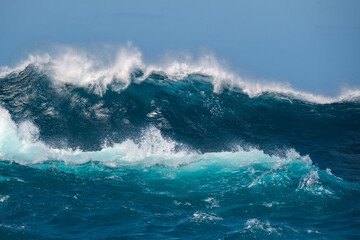 Big wave breaking on the sea