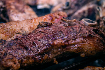 grilled meat on the grill