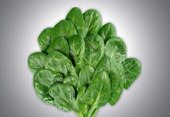 Spinach.