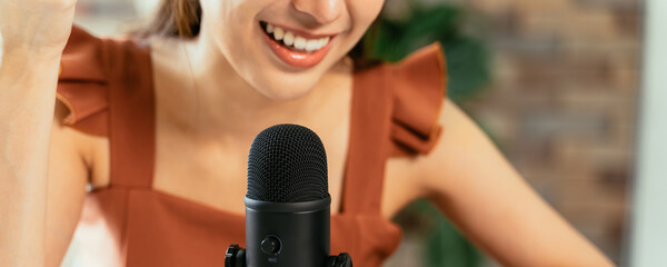 Closeup of young beautiful woman smiling sitting on desk using laptop and mic recording podcast...