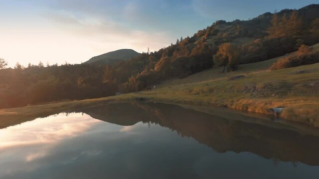 Aerial: Horses and reservoir on mountain farmland on a ranch in California