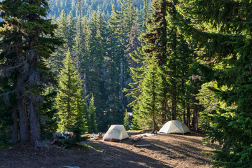 Two small tents occupy a remote wilderness campsite in a densely wooded forest.