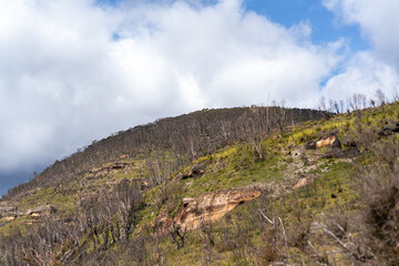 landscape of the mountains