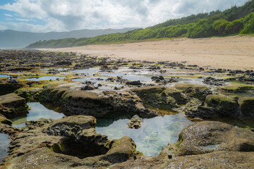 奄美大島 / ハートロック