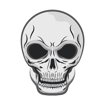 skull bone face