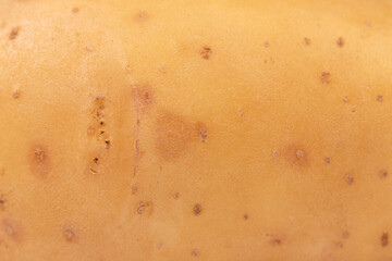 Close-up photo of potato peel. - 443535822