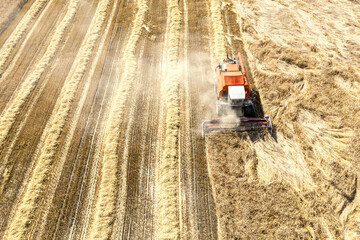 combine harvester in work on ripe wheat field. summer agricultural landscape aerial view