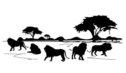 Silhouettes of lions. Lions in the jungle vector art.