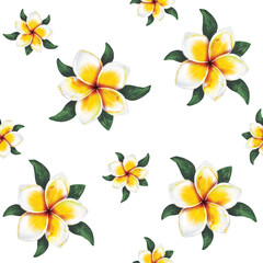 Seamless watercolor pattern of Plumeria or frangipani flower