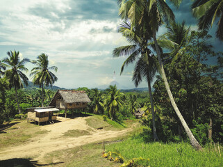 Village with trees, Papua New Guinea