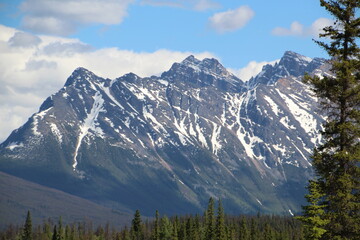 Viens Of The Mountain, Jasper National Park, Alberta